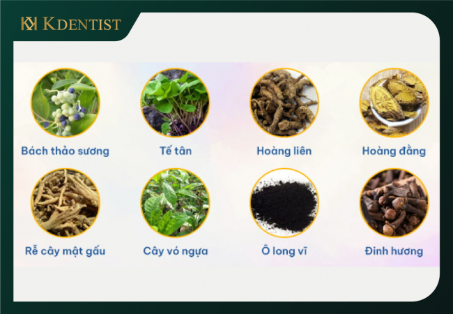 Điều trị tủy răng tại nhà bằng thuốc đông y